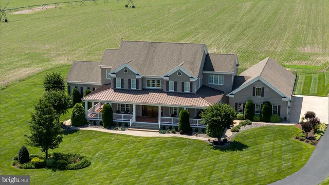 a view of a park with large trees