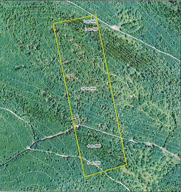 Lot 46 Doane Road Carroll Plt, ME 04487 - Photo 4 of 7 Aerial - Close Up