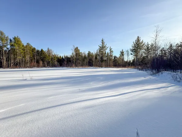 $62,000 | Lot 29 Independence Circle, Springfield, ME 04487