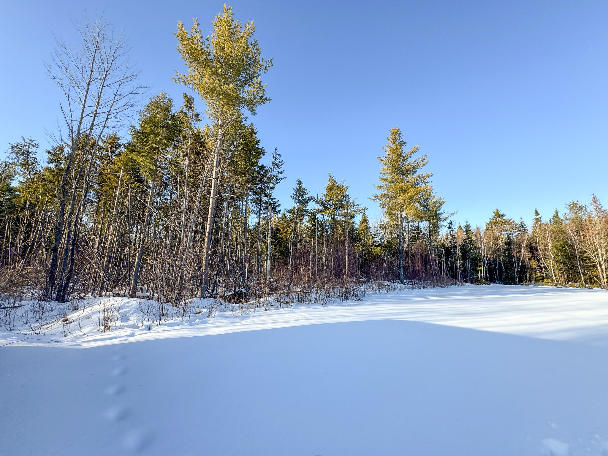 Lot 29 Independence Circle Springfield, ME 04487 - Photo 17 of 18 17