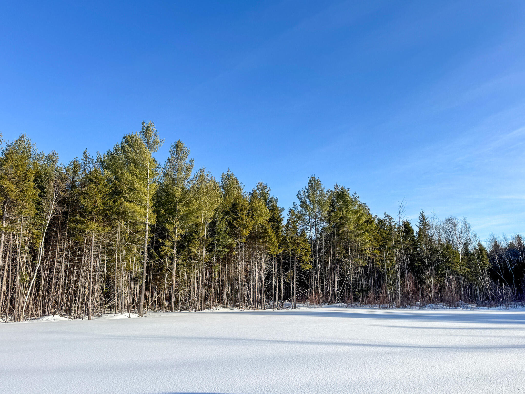 Lot 29 Independence Circle Springfield, ME 04487 - Photo 18 of 18 18