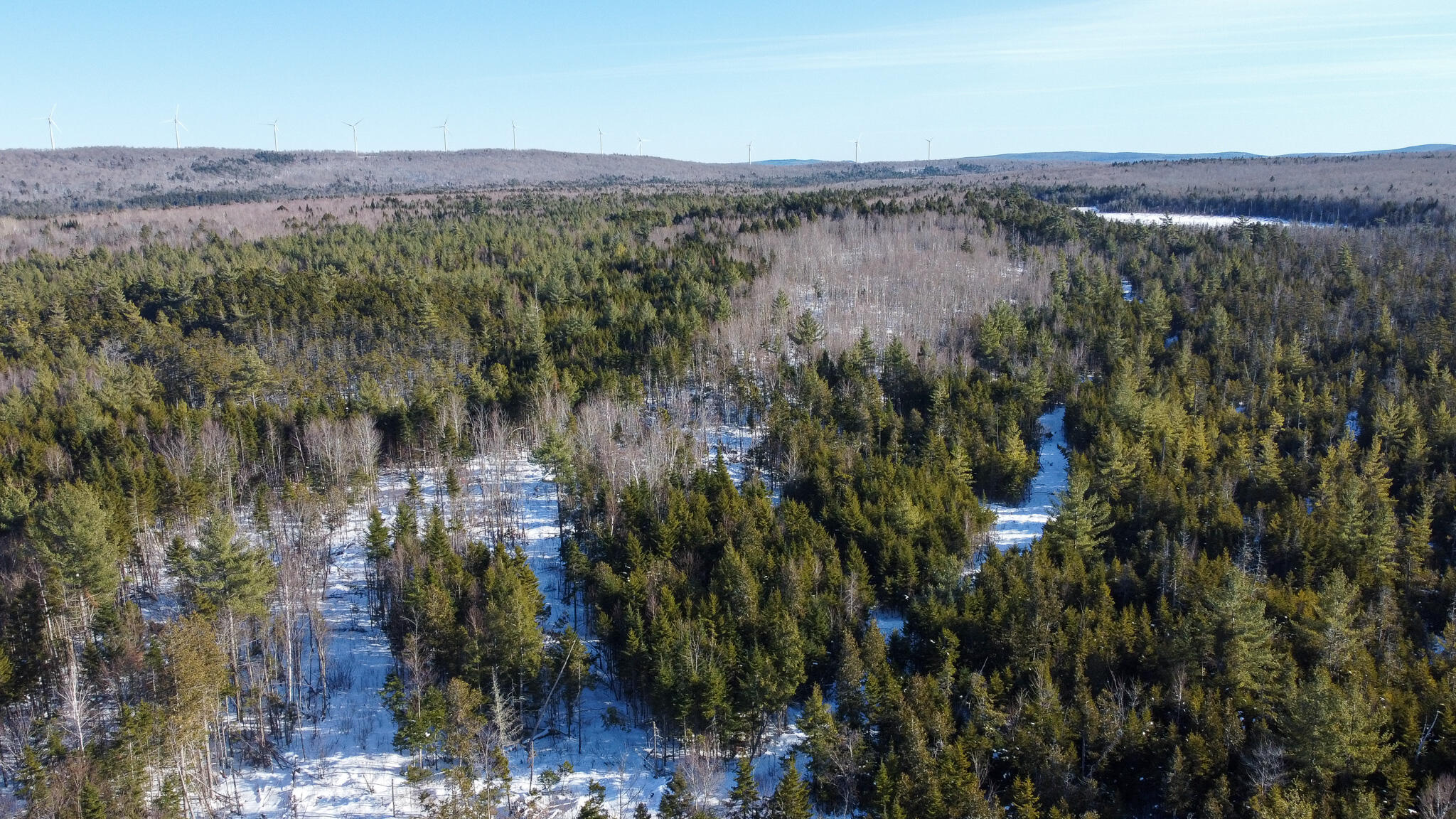 Lot 29 Independence Circle Springfield, ME 04487 - Photo 5 of 18 5