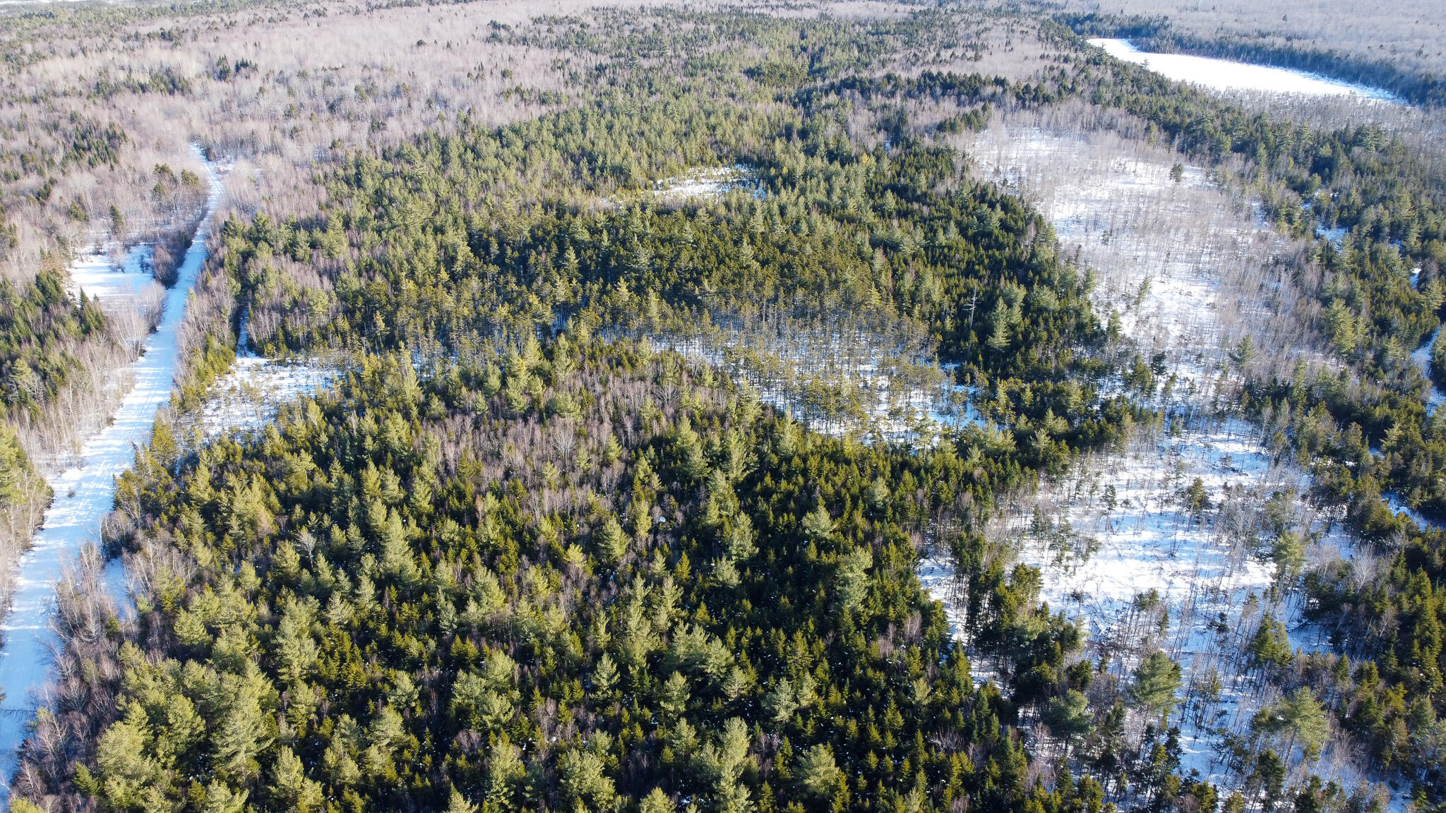 Lot 29 Independence Circle Springfield, ME 04487 - Photo 6 of 18 6