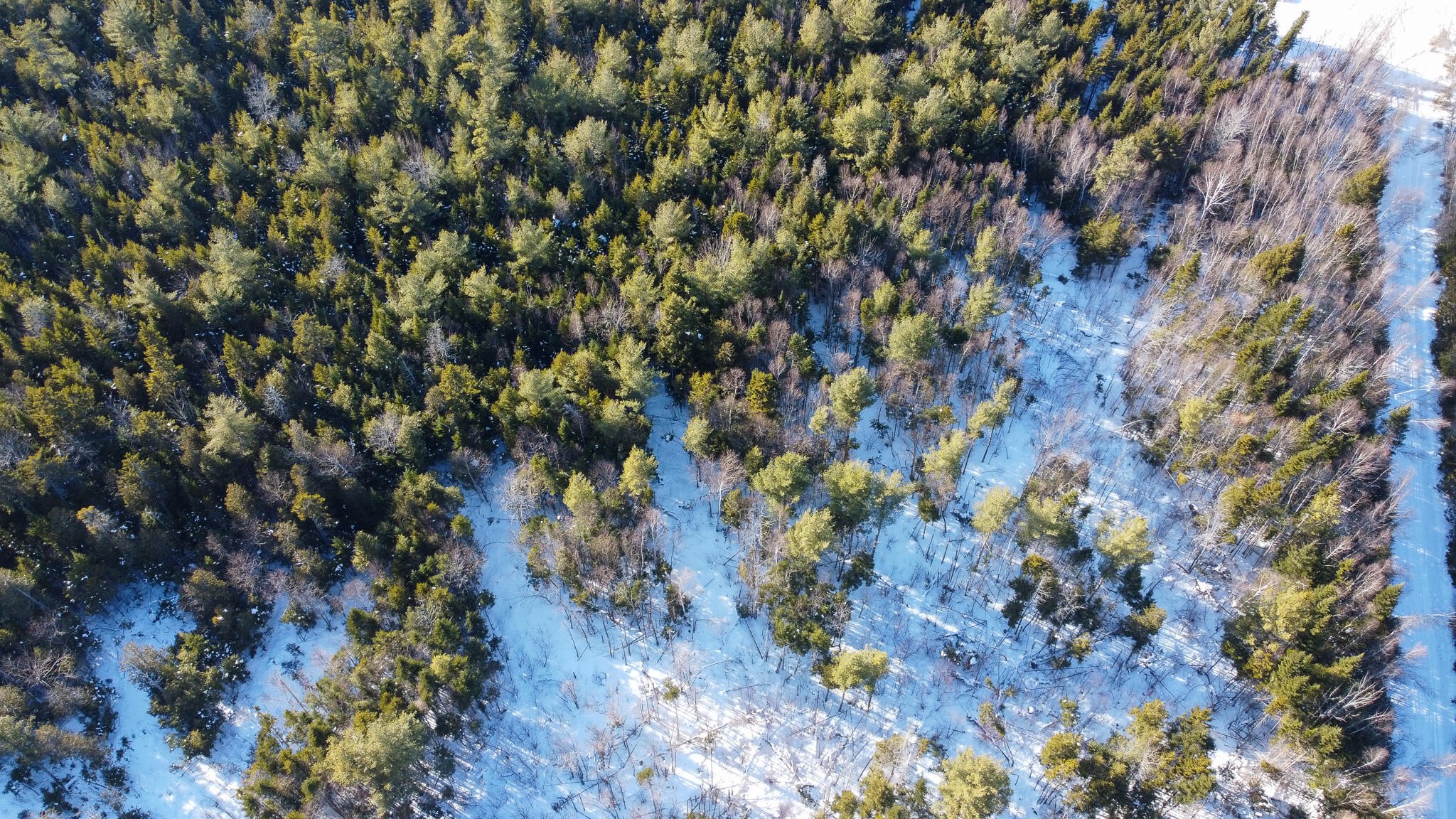 Lot 29 Independence Circle Springfield, ME 04487 - Photo 7 of 18 7