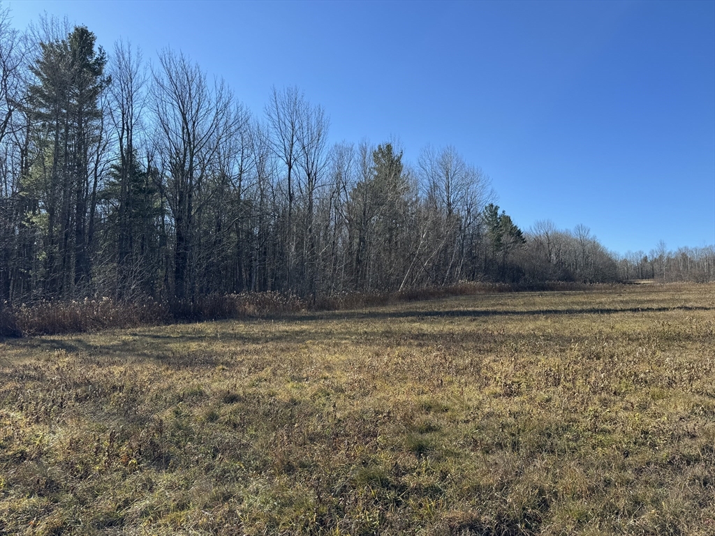 0 East Hawley Road Hawley, MA 01339 - Photo 2 of 5 a view of a yard