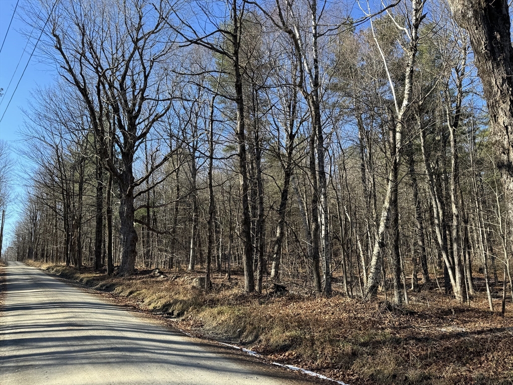 0 East Hawley Road Hawley, MA 01339 - Photo 4 of 5 a view of a yard with a house