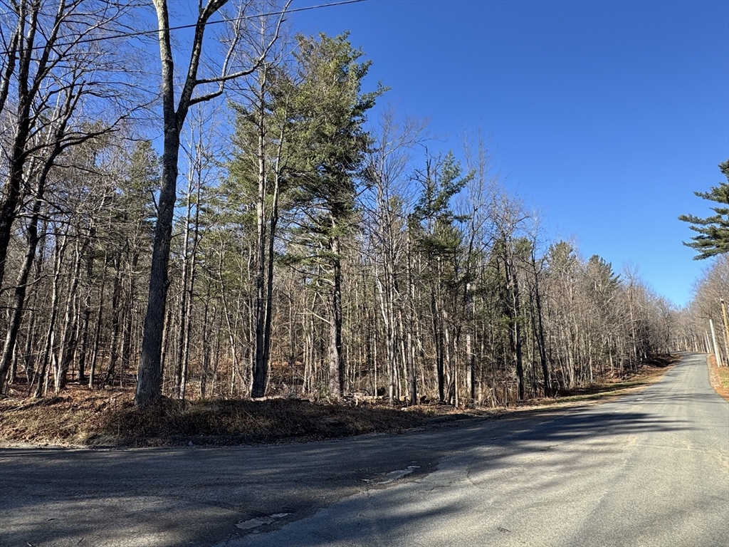 0 East Hawley Road Hawley, MA 01339 - Photo 5 of 5 a view of road with trees