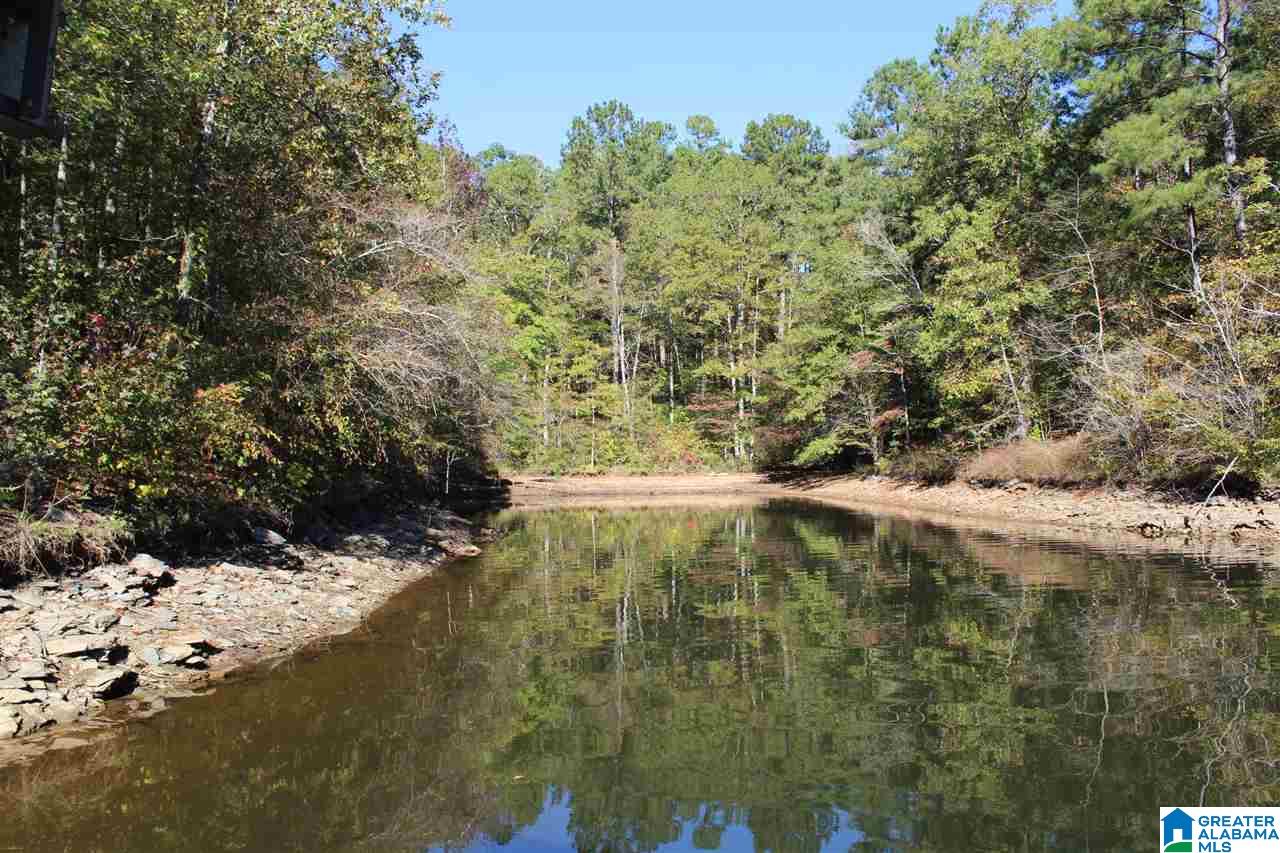 779 County Road 897 Wedowee, AL 36278 - Photo 36 of 37