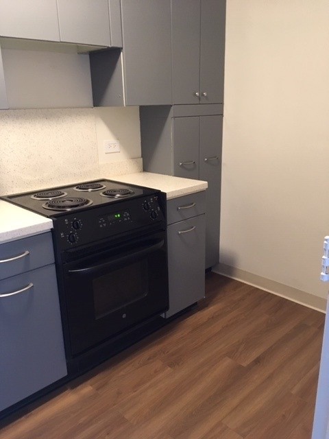 5757 North Sheridan Road, Unit 9G Chicago, IL 60660 - Photo 13 of 16 a kitchen with a stove and a microwave