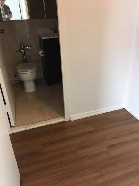 5757 North Sheridan Road, Unit 9G Chicago, IL 60660 - Photo 15 of 16 a view of bathroom and toilet
