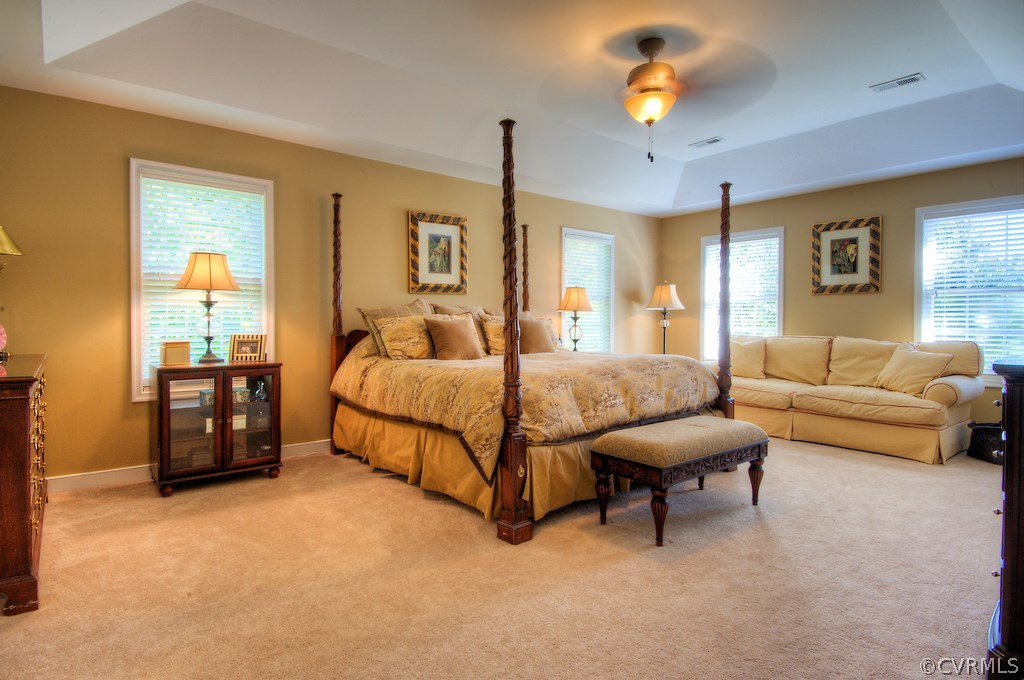 13506 Brandy Oaks Road Chesterfield, VA 23832 - Photo 15 of 24 Master bedroom with private master bath, tray ceil