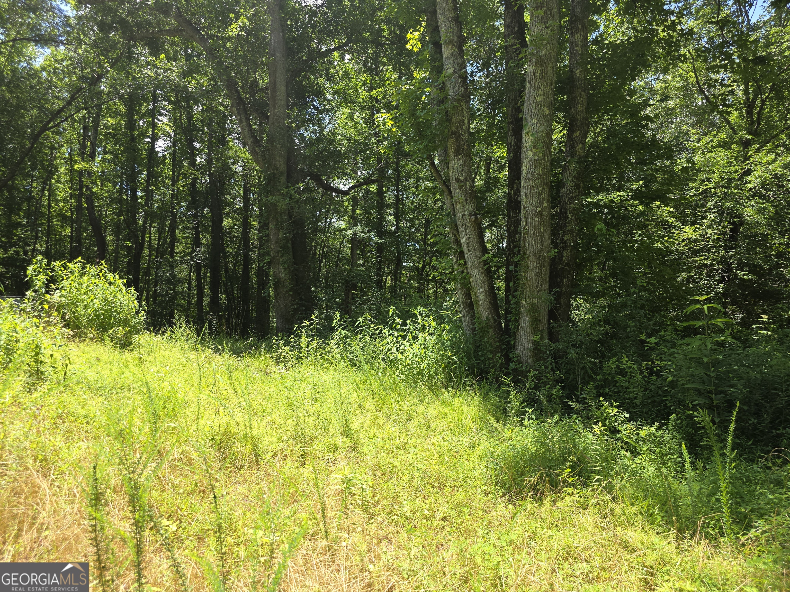 1347 Windom Road Tallapoosa, GA 30176 - Photo 25 of 27