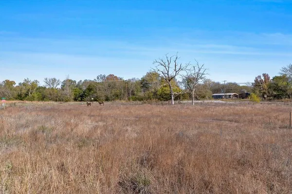 a view of a field