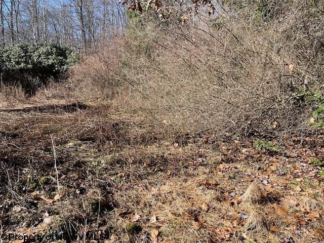 Tbd Herring Road Kingwood, WV 26537 - Photo 7 of 9 Gallery Image 7