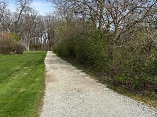 a view of a yard with plants and trees