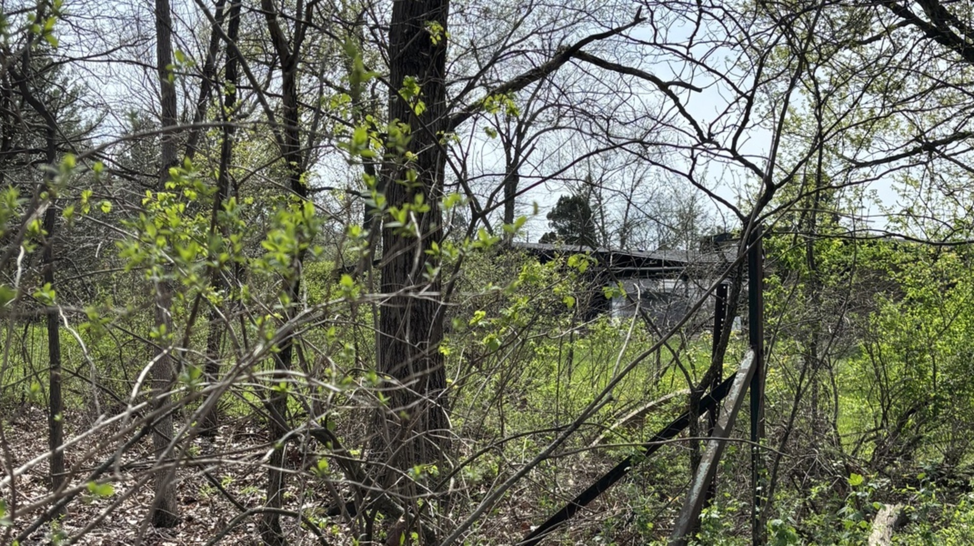 258 South Root Drive Crete, IL 60417 - Photo 13 of 15 a view of a tree in a yard
