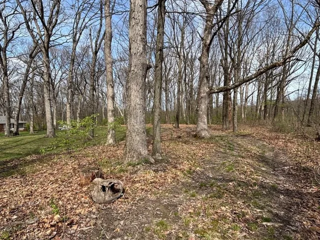 a backyard of a house with lots of green space