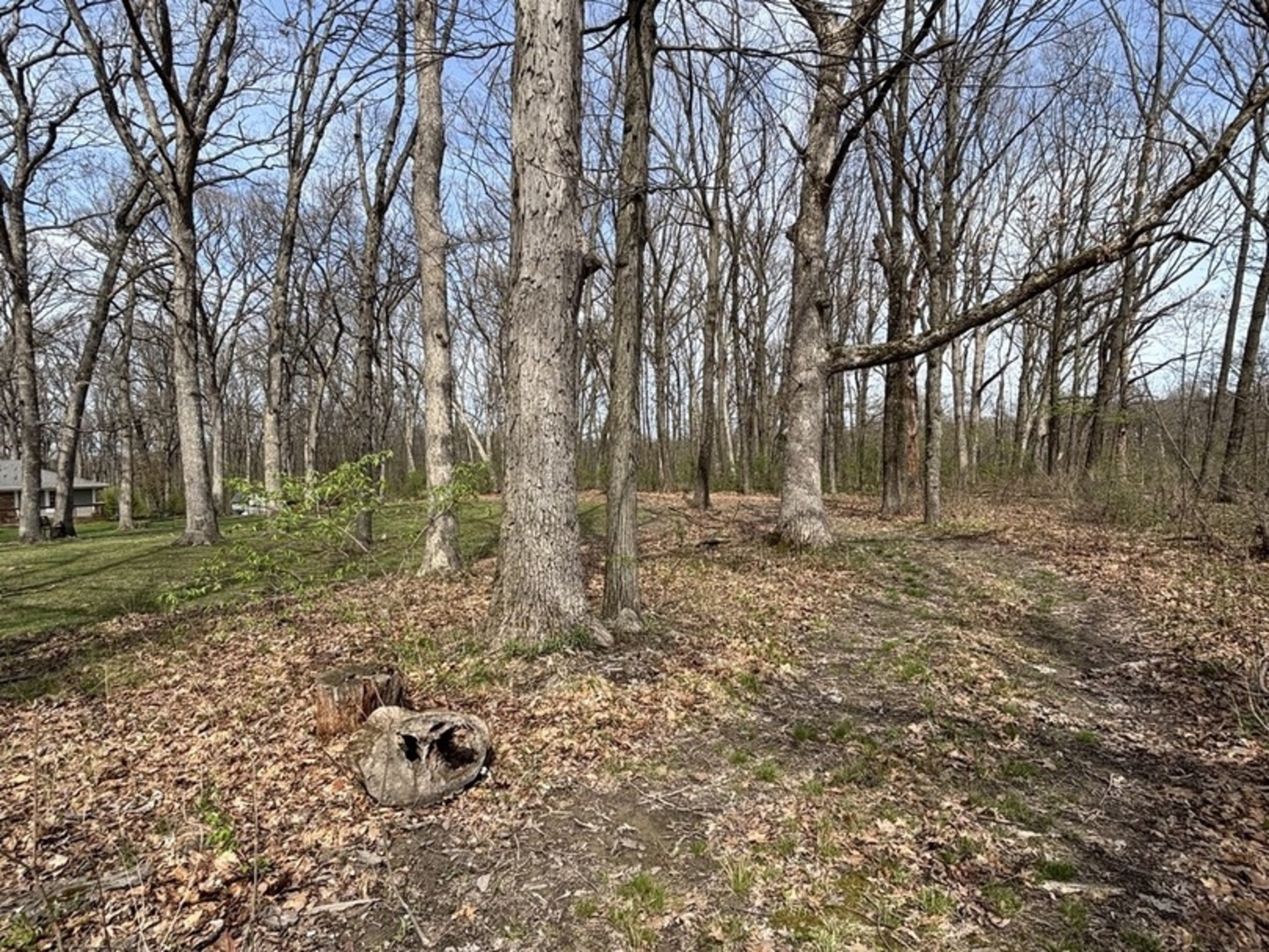 258 South Root Drive Crete, IL 60417 - Photo 14 of 15 a backyard of a house with lots of green space