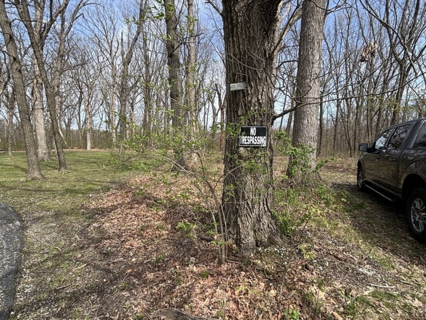 258 South Root Drive Crete, IL 60417 - Photo 15 of 15 a view of a yard with a house