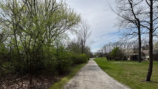 a view of a park with large trees