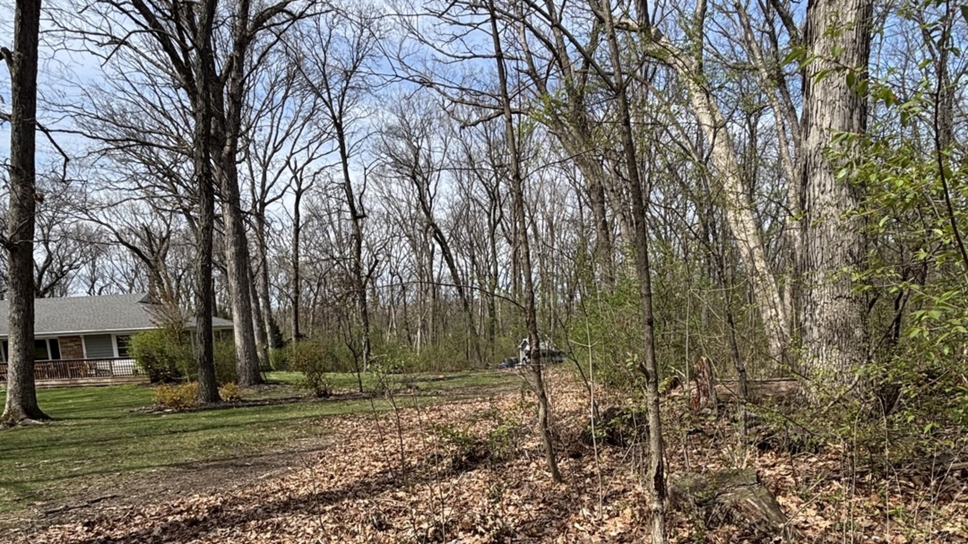 258 South Root Drive Crete, IL 60417 - Photo 5 of 15 a view of a house with a yard