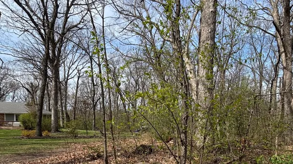 a view of a yard
