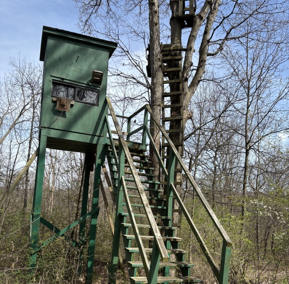 258 South Root Drive Crete, IL 60417 - Photo 8 of 15 a picture of a tree