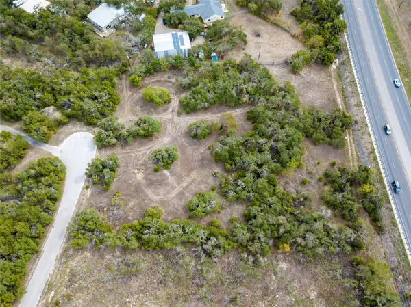a view of a garden with plants