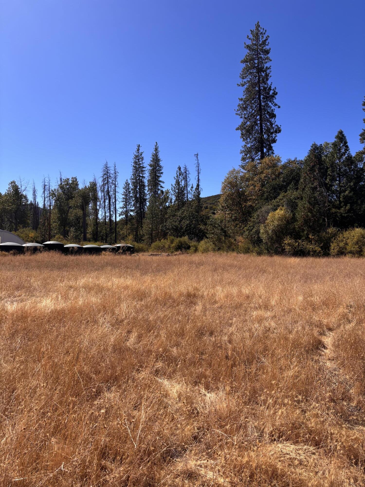 775 Barker Valley Road Hayfork, CA 96041 - Photo 16 of 41 Lower Property