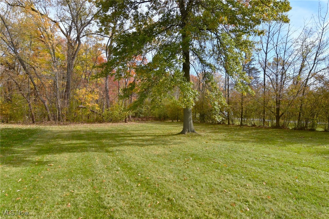 38535 Aurora Road Solon, OH 44139 - Photo 24 of 26 View of yard