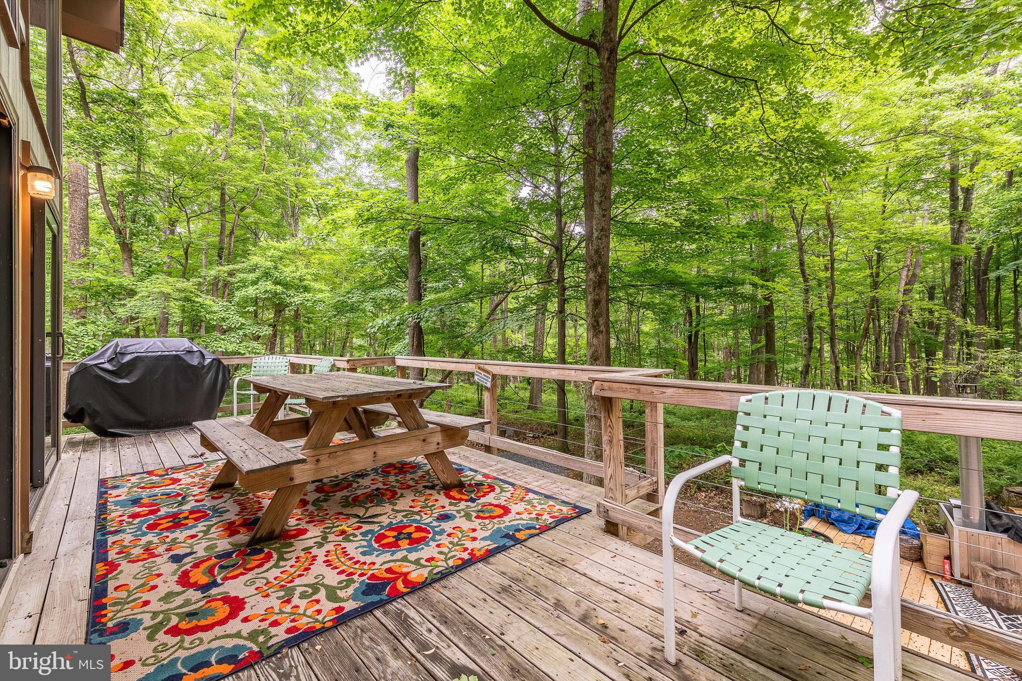 1230 Mountainside Road Berkeley Springs, WV 25411 - Photo 33 of 62 Upper Deck
