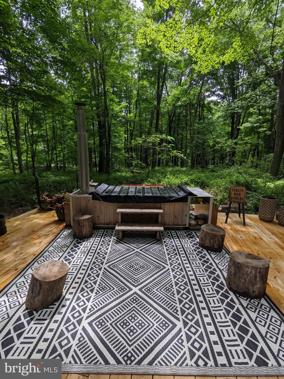 1230 Mountainside Road Berkeley Springs, WV 25411 - Photo 34 of 62 Gallery Image 34
