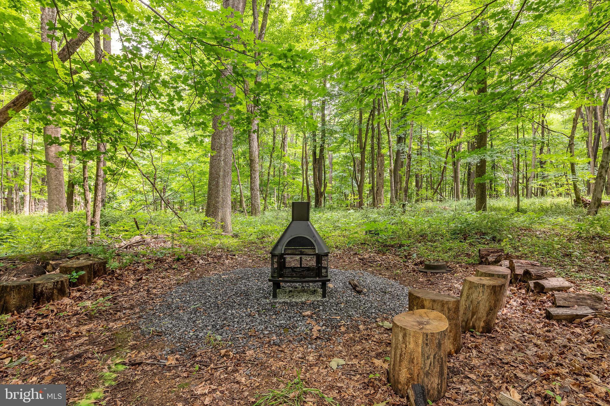 1230 Mountainside Road Berkeley Springs, WV 25411 - Photo 39 of 62 Fire Pit