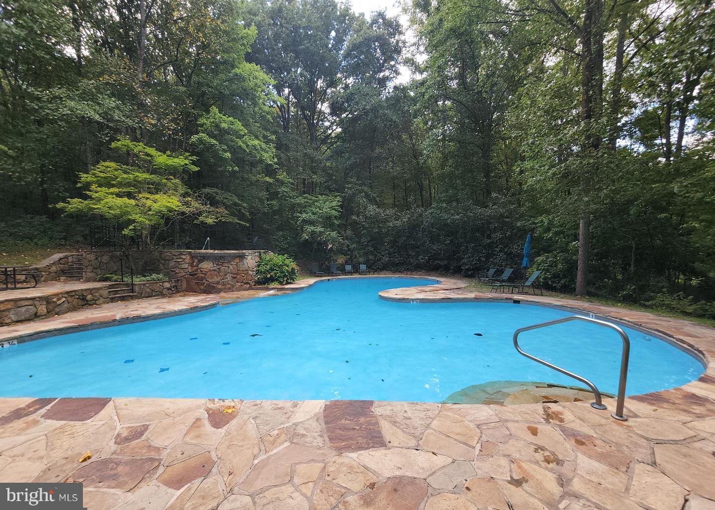 1230 Mountainside Road Berkeley Springs, WV 25411 - Photo 41 of 62 Community Pool