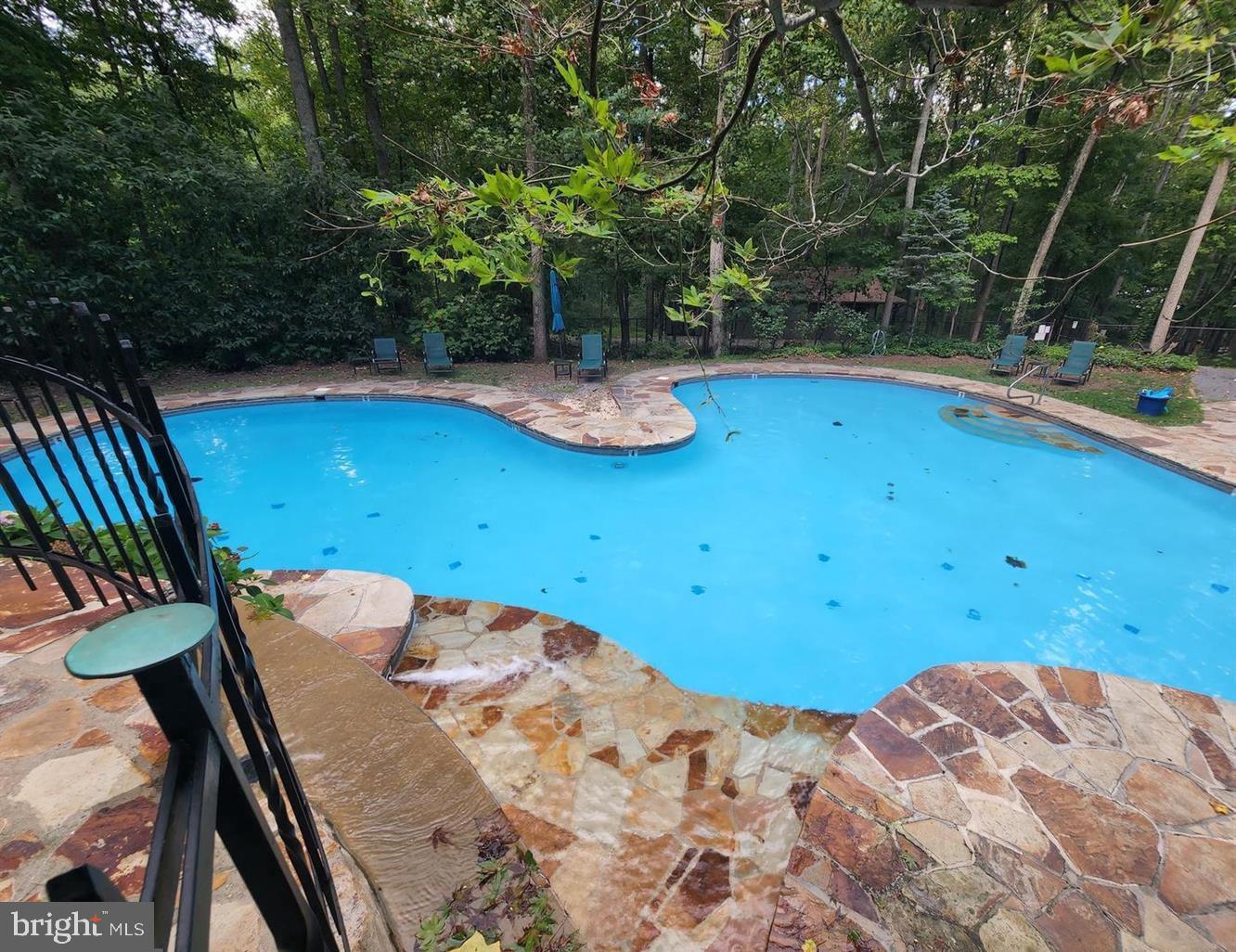 1230 Mountainside Road Berkeley Springs, WV 25411 - Photo 42 of 62 Community Pool
