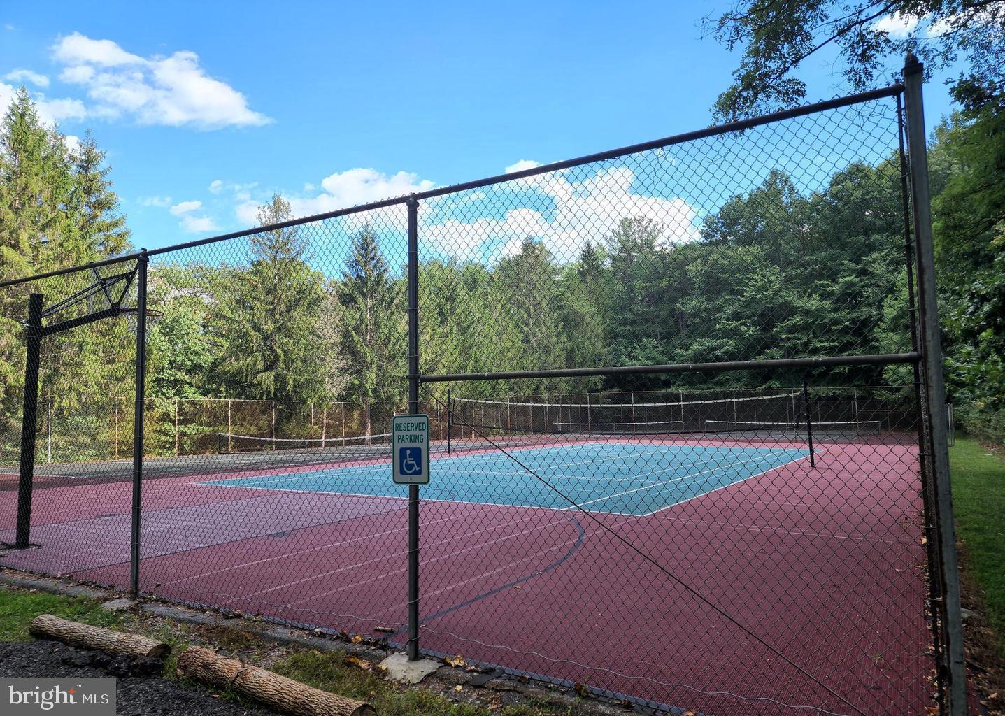 1230 Mountainside Road Berkeley Springs, WV 25411 - Photo 45 of 62 Community Tennis Courts