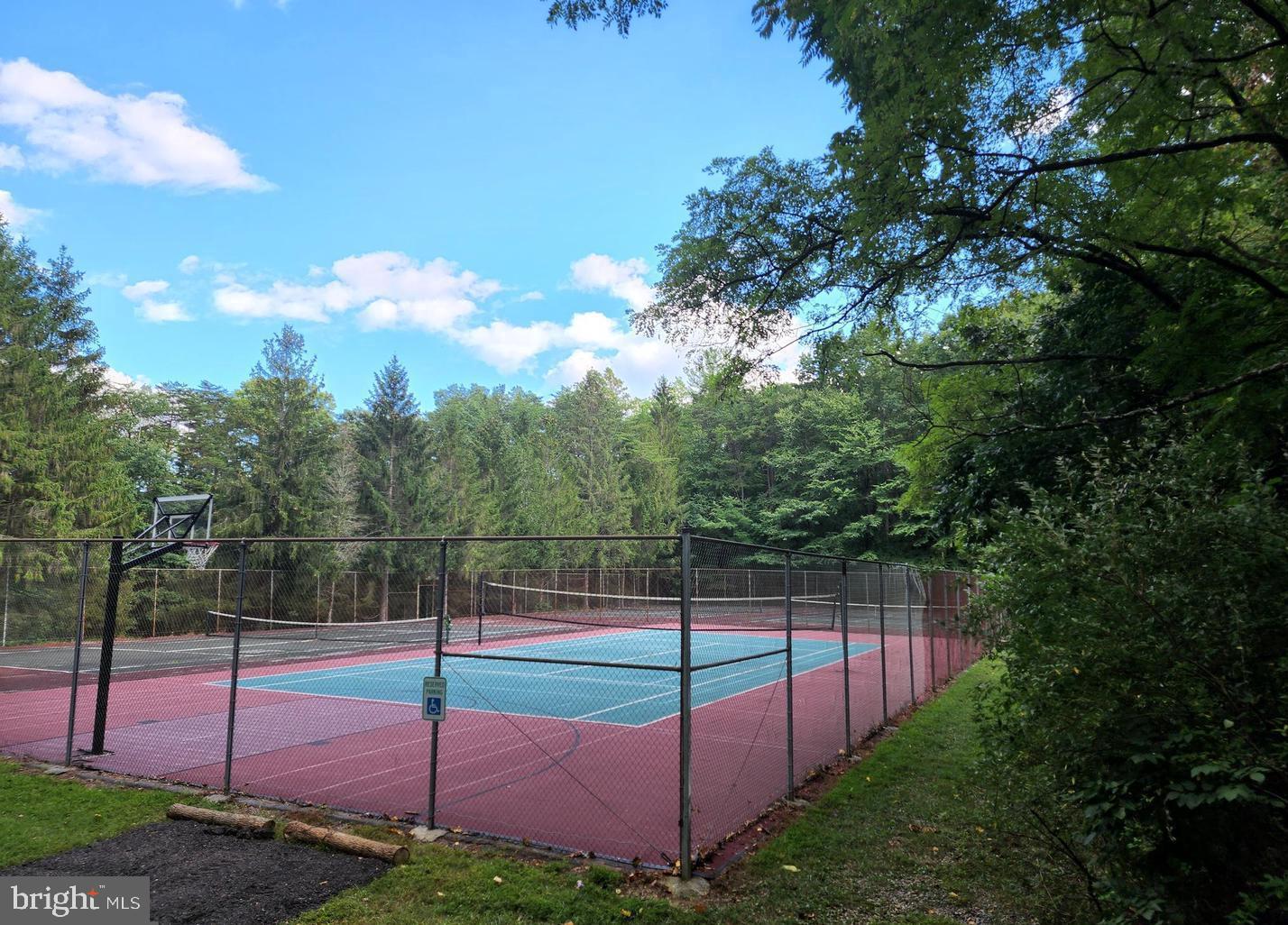 1230 Mountainside Road Berkeley Springs, WV 25411 - Photo 46 of 62 Community Tennis Courts