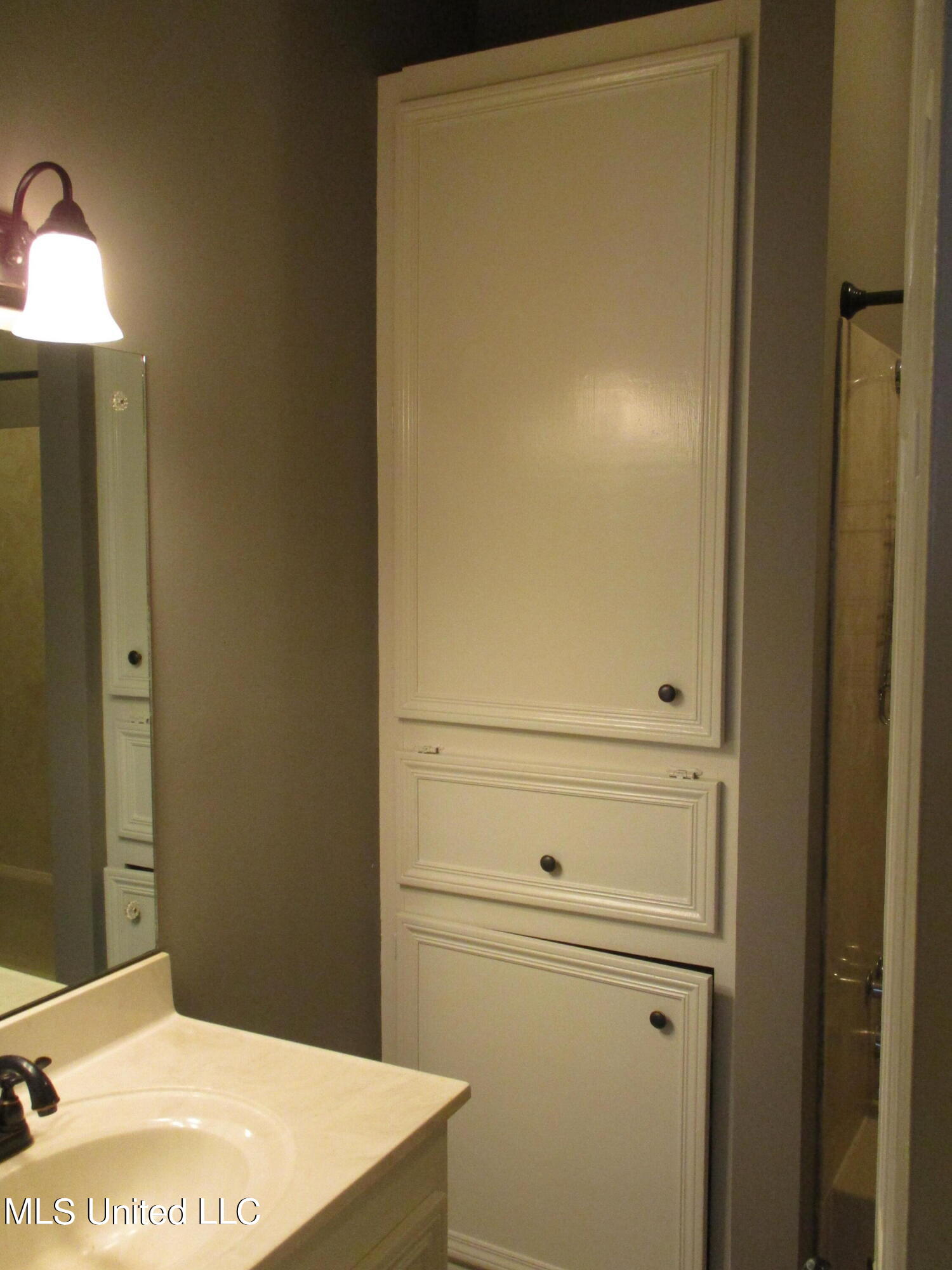 230 Bridgeford Boulevard Ridgeland, MS 39157 - Photo 10 of 15 IMG_0483