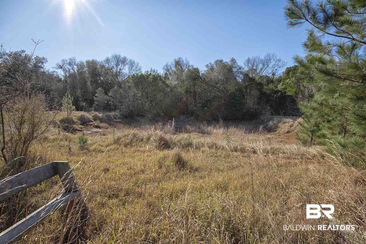 15612 Beasley Road Foley, AL 36535 - Photo 25 of 31