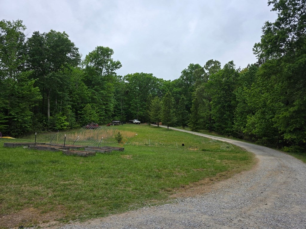 351 Friendship Church Road Drakes Branch, VA 23937 - Photo 40 of 40 Gallery Image 40