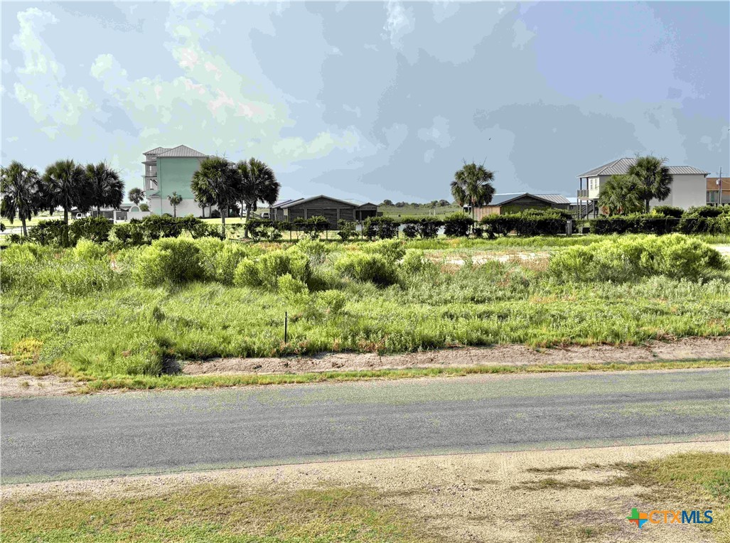 604 Maple Street Port O'Connor, TX 77982 - Photo 6 of 46 a view of a garden with a sink