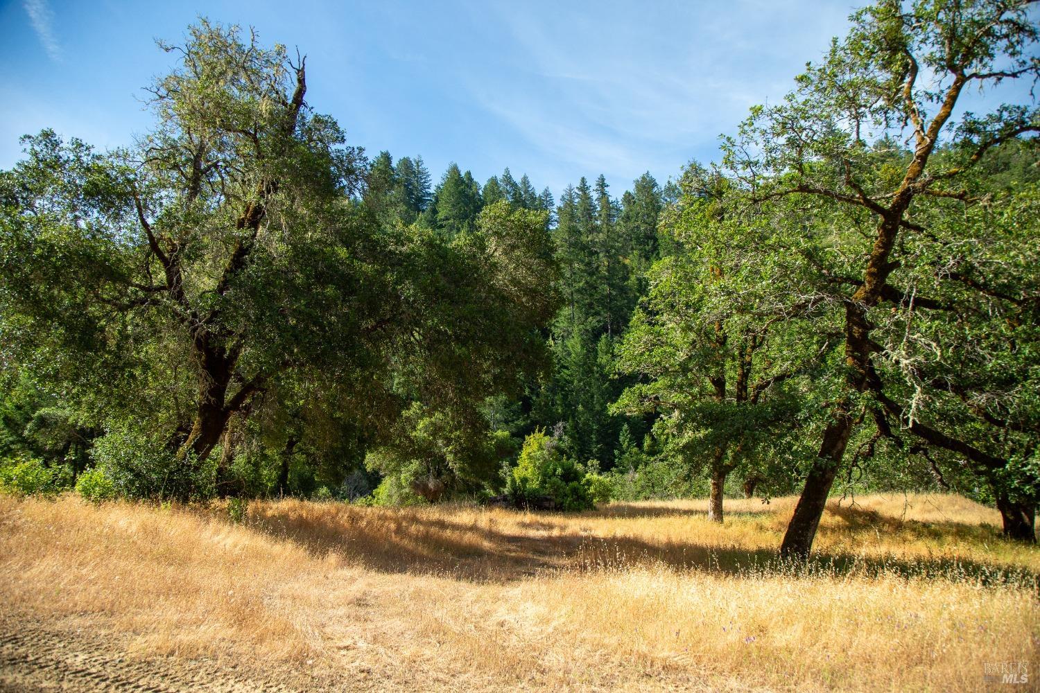 23 Wickersham Ranch Road Geyserville, CA 95441 - Photo 16 of 26