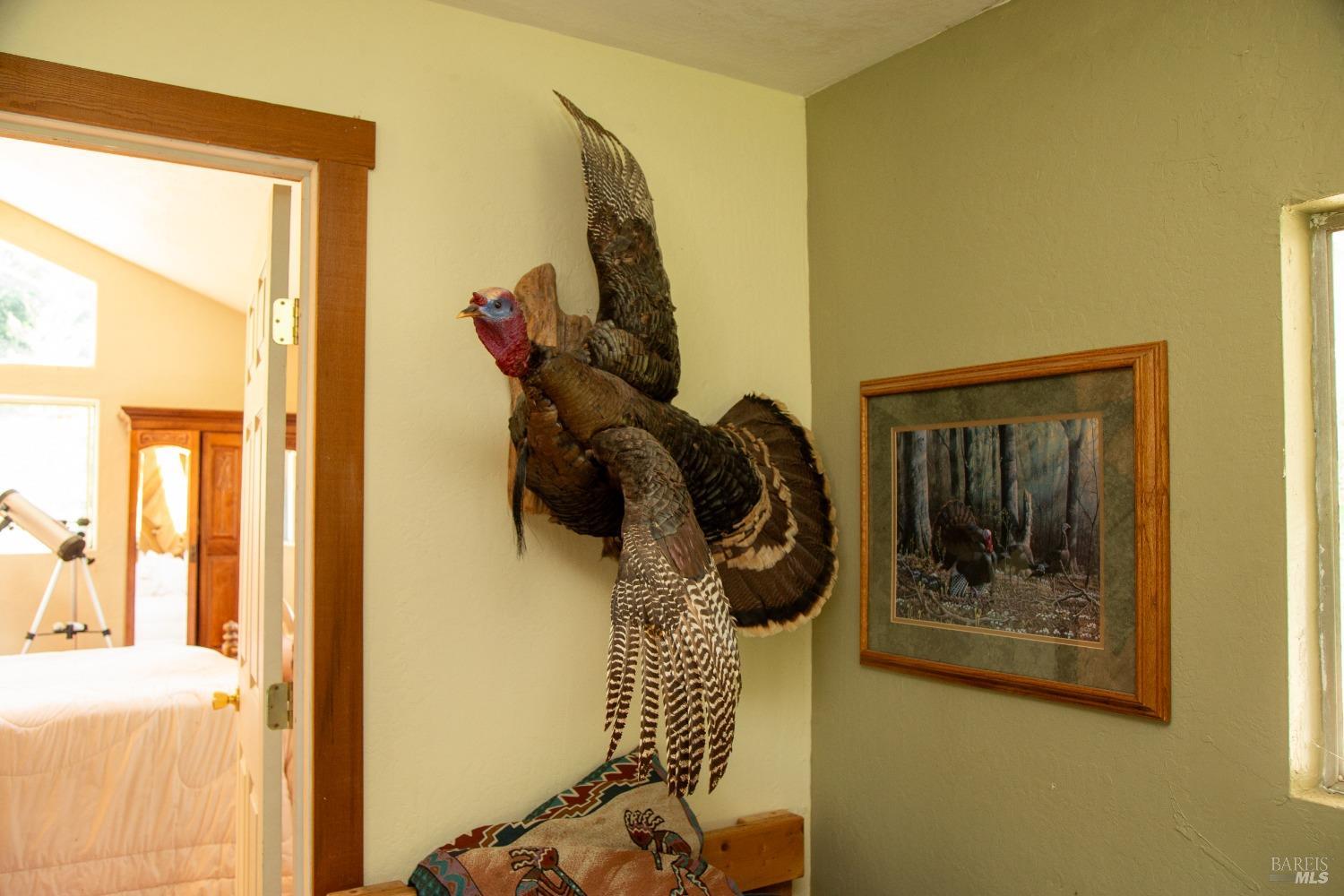 23 Wickersham Ranch Road Geyserville, CA 95441 - Photo 7 of 26