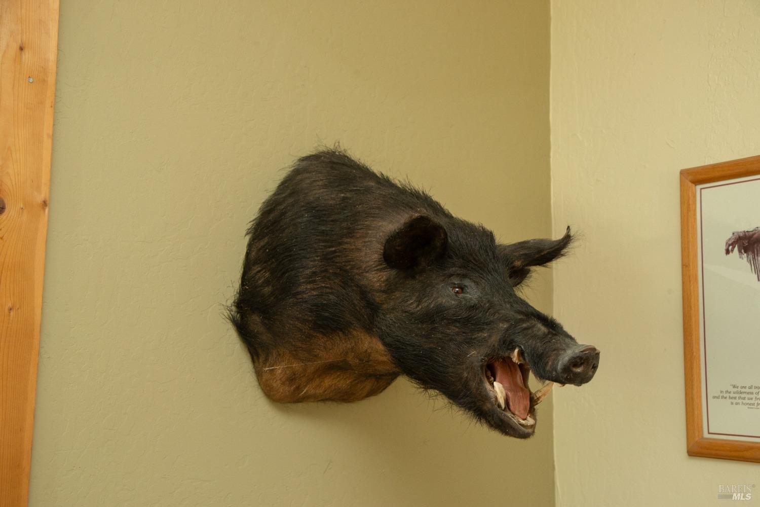 23 Wickersham Ranch Road Geyserville, CA 95441 - Photo 8 of 26