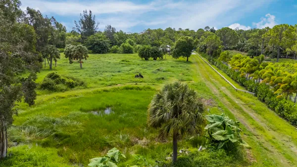 a view of a garden with an ocean