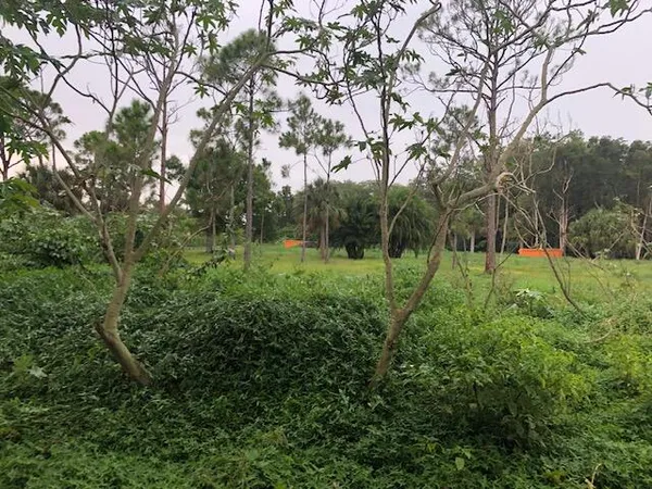 a view of a park