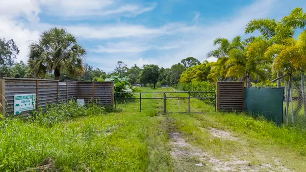 a garden view