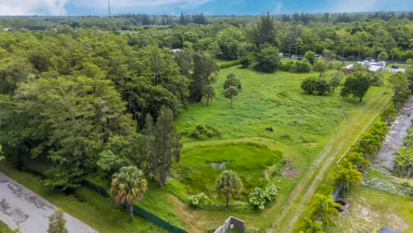a view of a green yard with large trees
