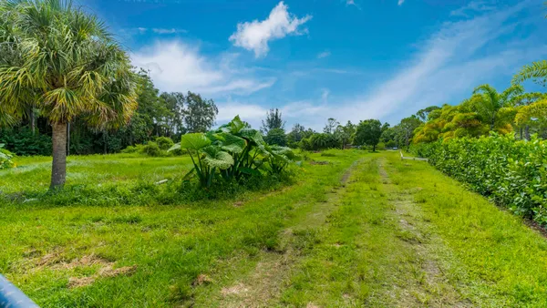 a view of a garden