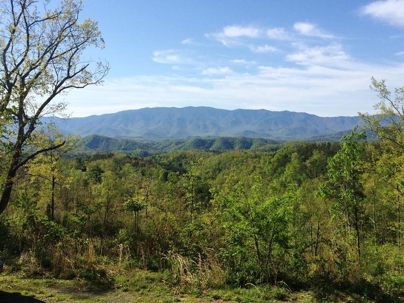 Wilhite Road Cosby, TN 37722 - Photo 1 of 10 1